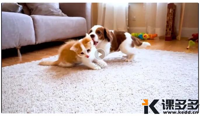 图片[3]-智谱清影！告别积分！免费无限生成视频神器！-课多多