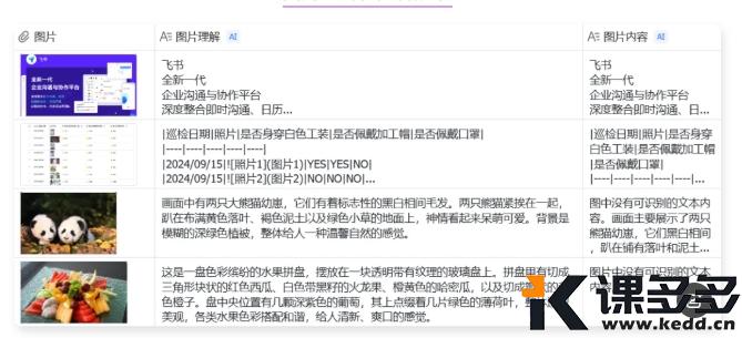 图片[3]-5分钟上手飞书AI智能表格：实现数据自动化处理-课多多