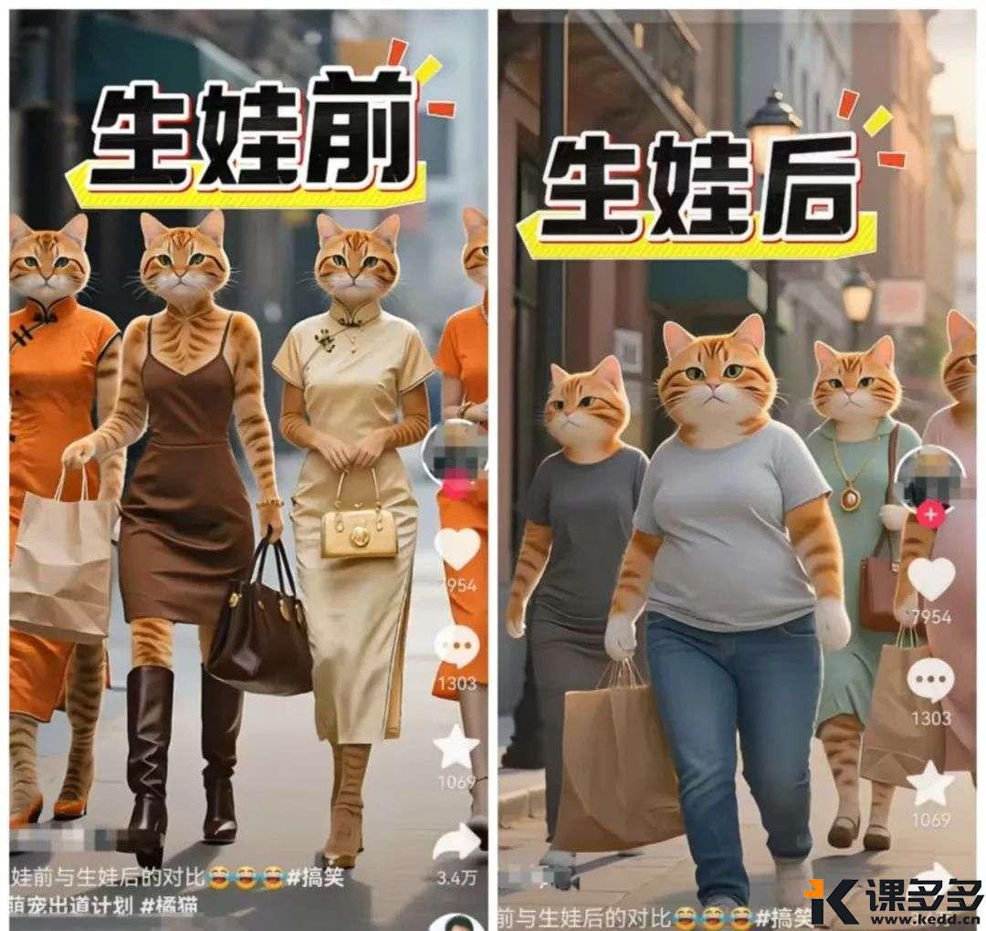 爆款橘猫视频又来了，适合新手操作，一分钟教会你-课多多