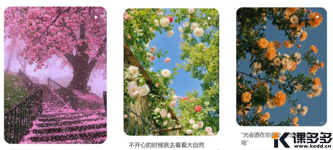 播放百万的唯美花海视频，用AI一键搞定，1分钟教会你-课多多