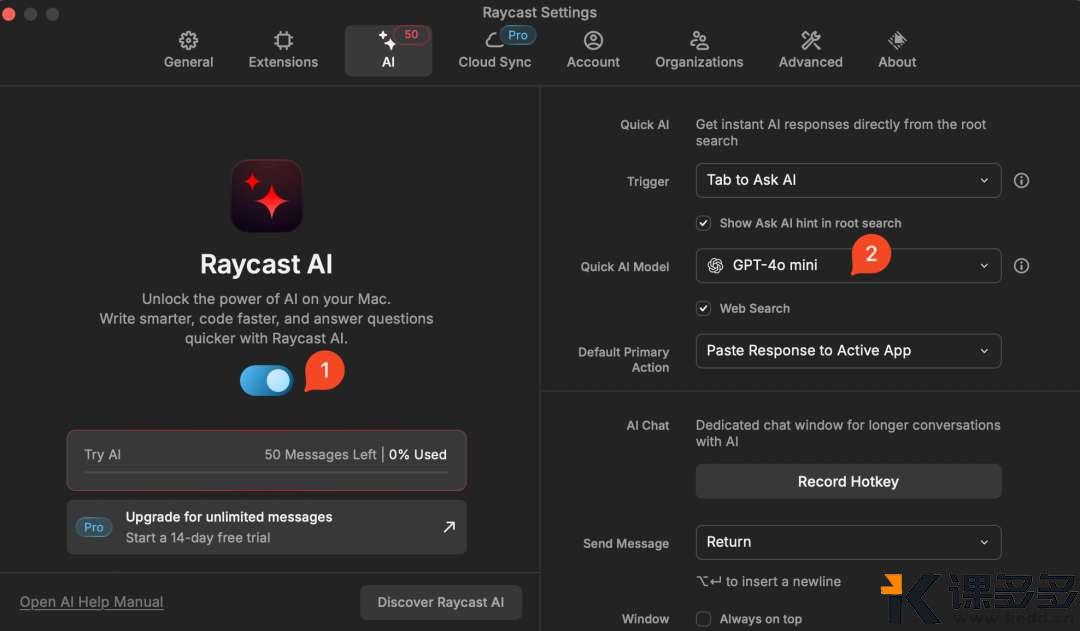 null Raycast AI 设置界面
