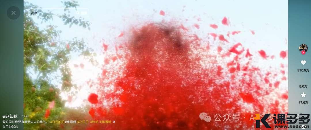 AI开始玩特效了,真5毛钱搞定,因为只用一句提示词(附爆款玩法教程)-课多多