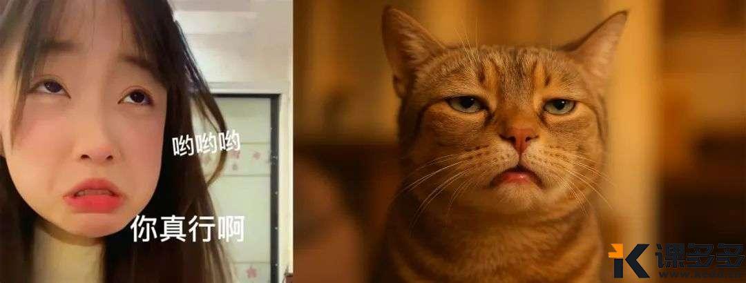 用Sora玩表情迁移，一个字“绝”-课多多