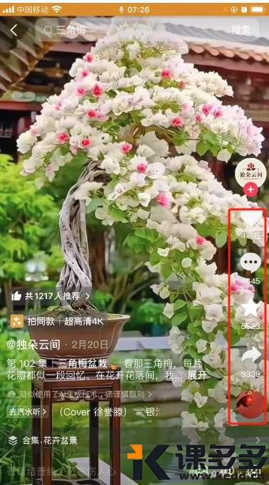 用AI做老年人喜欢绿植花卉视频，一天发10条，视频带货杠杠滴！（附保姆级教程）-课多多